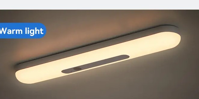 LED Human Body Sensor Magnetic Night Light (1pc)